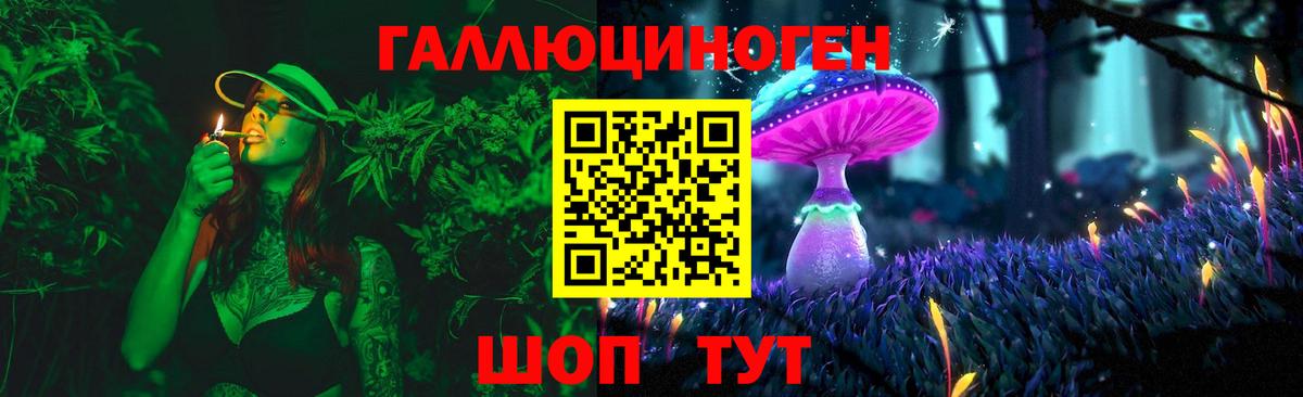 Псилоцибиновые грибы Psilocybe  Вход с VPN  Галлюциногенные грибы Psilocybe  Острогожск 